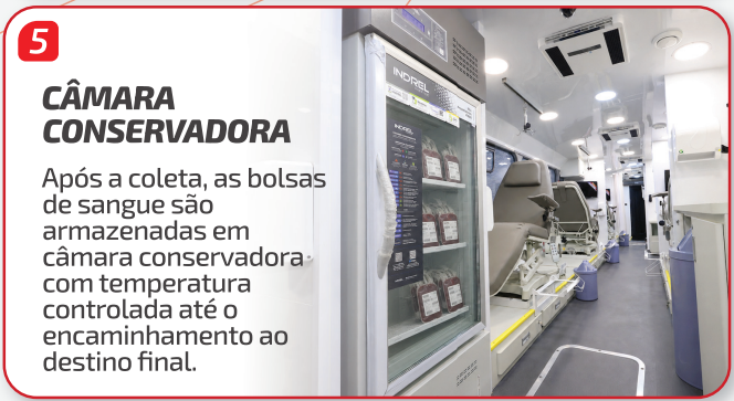Etapa 05 — Câmara conservadora: Após a coleta, as bolsas de sangue são armazenadas em câmara conservadora com temperatura controlada até o encaminhamento ao destino final.